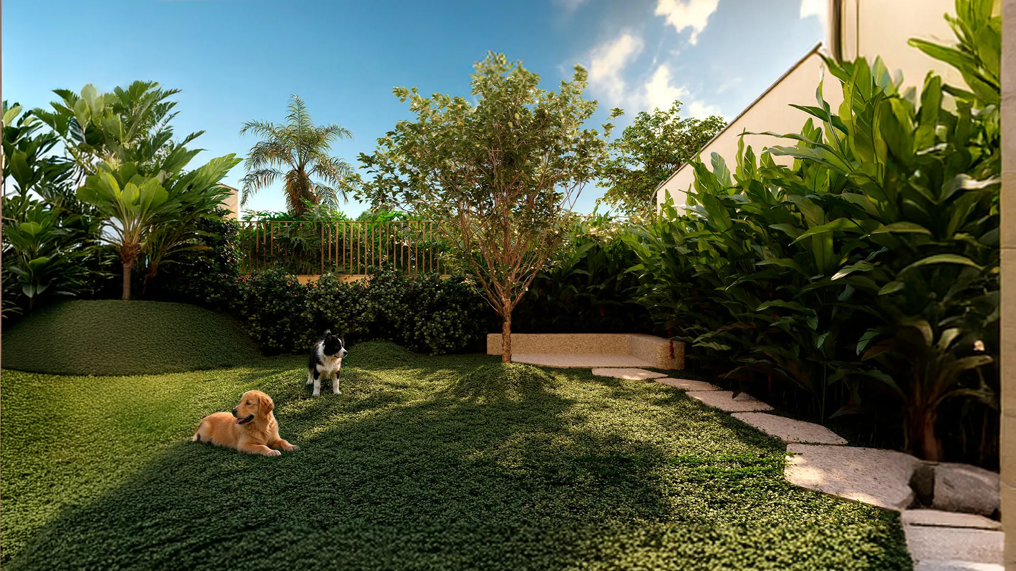 Le Blu Consciente — Pet Place